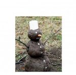 alternatieve sneeuwpop.jpg