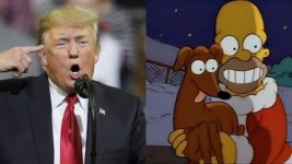 donaldtrumpsimpsons_1726129052339_1726129058519.jpg